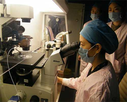 供卵试管代孕机构_国内试管代生医院,染色体异常做试管要多少钱_染色体有问题