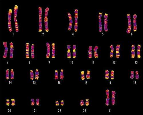 合肥安医大三代试管婴儿怎么样，最新助孕成功率数据分享