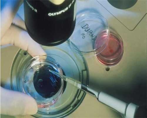 赠卵国内合法吗_包生男孩微信群,试管婴儿胚胎着床症状