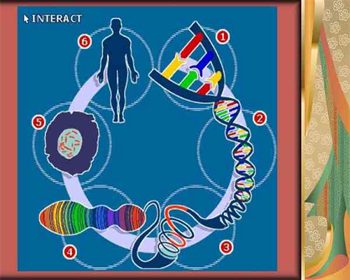合肥代生怀男孩,2026合肥三代试管包生男孩最新价格表一览!