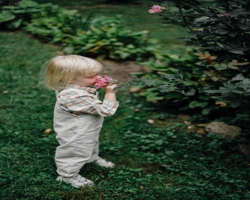 允许单身试管国家_试管代孕流程咨询,胚胎移植后什么时候可以着床？最长时间