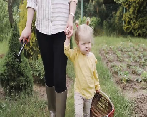 合肥代怀包生男孩的价格是多少?附费用清单!